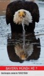 images.jpeg
