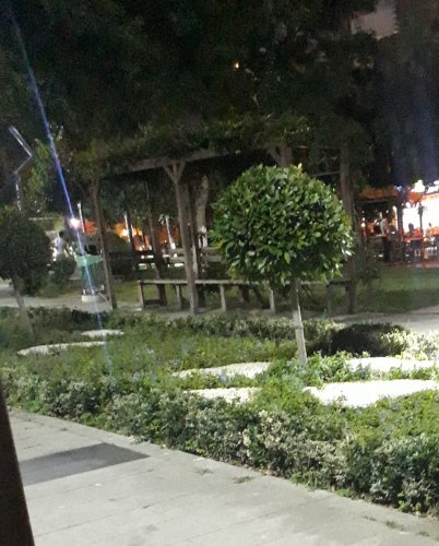20210725_214056.jpg