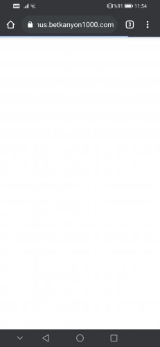 Screenshot_20210827_115408_com.android.chrome.jpg