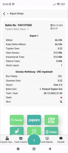 Screenshot_2022-12-28-22-03-36-461_com.android.chrome.jpg