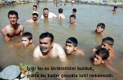 images (13).jpeg
