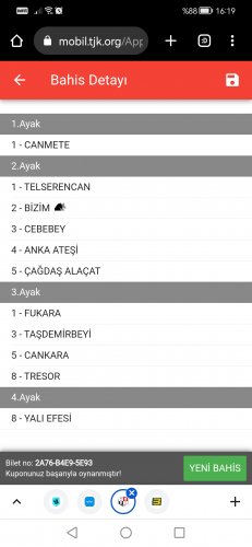 Screenshot_20230319_161927_com.android.chrome.jpg