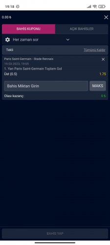 Screenshot_2023-03-19-19-18-54-697_com.android.chrome.jpg