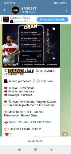 Screenshot_2023-09-08-14-08-39-529_org.telegram.messenger.jpg