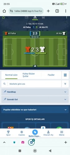 Screenshot_2023-11-07-20-55-44-286_com.android.chrome.jpg
