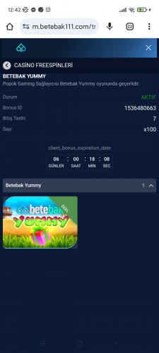 Screenshot_2025-04-01-12-42-15-915_com.android.chrome.jpg