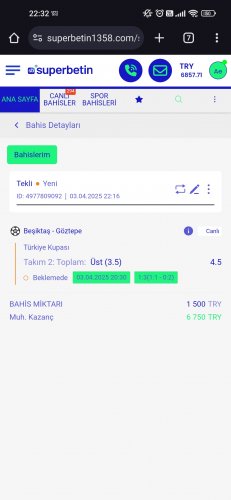 Screenshot_2025-04-03-22-32-59-733_com.android.chrome.jpg