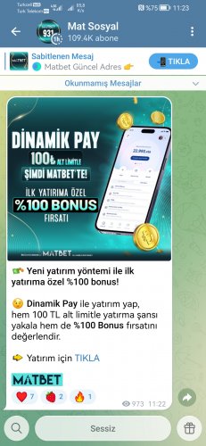 Screenshot_20260109_112305_org.telegram.messenger.jpg