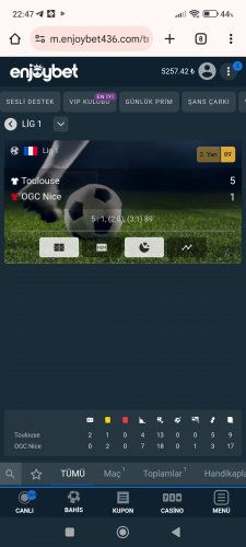 Screenshot_2026-01-17-22-47-32-613_com.android.chrome.jpg