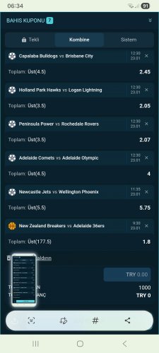 Screenshot_20260123_063424_Samsung Internet.jpg