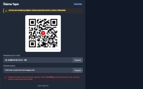 Ekran görüntüsü_23-1-2026_14326_pay.cryptopayment.one.jpeg