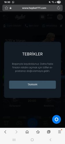 Screenshot_20260126_163031_Samsung Internet.jpg