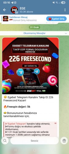 Screenshot_20260131_031023_Telegram.jpg