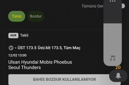 Screenshot_2026-02-12-13-24-15-174_com.android.chrome-edit.jpg
