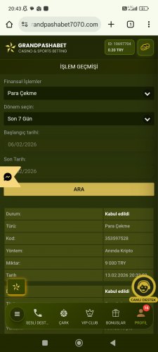 Screenshot_2026-02-13-20-43-33-415_com.android.chrome.jpg
