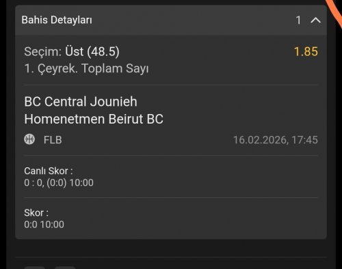 Screenshot_2026-02-16-17-46-08-296_com.android.chrome-edit.jpg