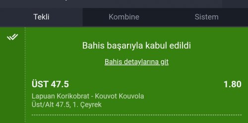 Screenshot_2026-02-19-19-37-24-472_com.android.chrome-edit.jpg