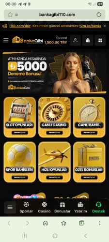 Screenshot_20260420_000007_Samsung Browser.jpg