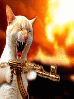 machinegun_11nqcahq (1).gif