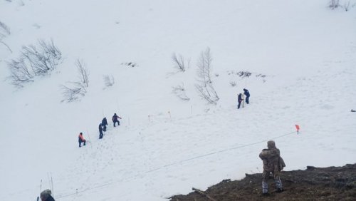 IMG_8912.jpeg