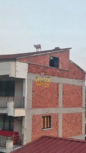 IMG_1254.jpeg