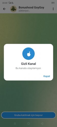 Screenshot_2026-06-03-22-33-59-07.jpg