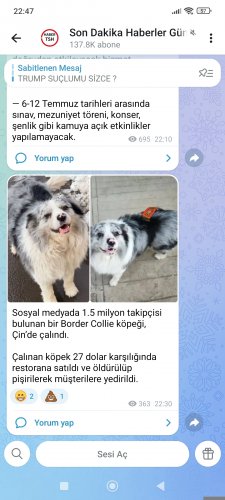 Screenshot_2026-06-04-22-47-47-781_org.telegram.messenger.jpg