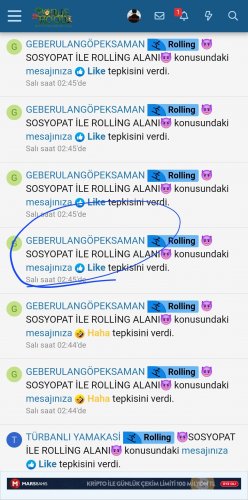 Screenshot_20260605_034158_Samsung Browser.jpg