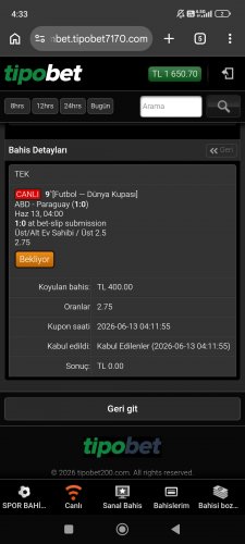 Screenshot_2026-06-13-04-33-49-710_com.android.chrome.jpg