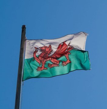IMG_5342.jpeg