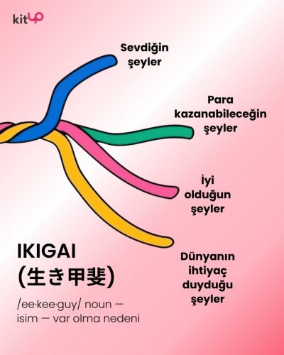 IMG_6142.jpeg