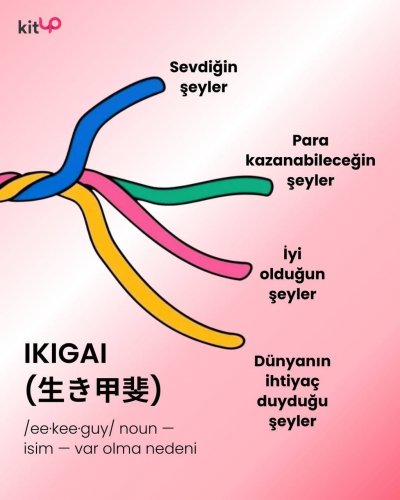 IMG_6153.jpeg