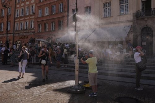 IMG_6463.jpeg