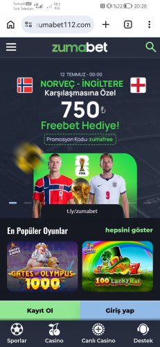 Screenshot_20260708_202804_com.android.chrome.jpg